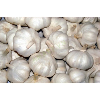 Rau củ quả bán cân tỏi